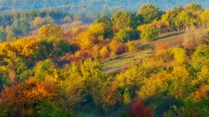 Colorful autumn landscape near Vác