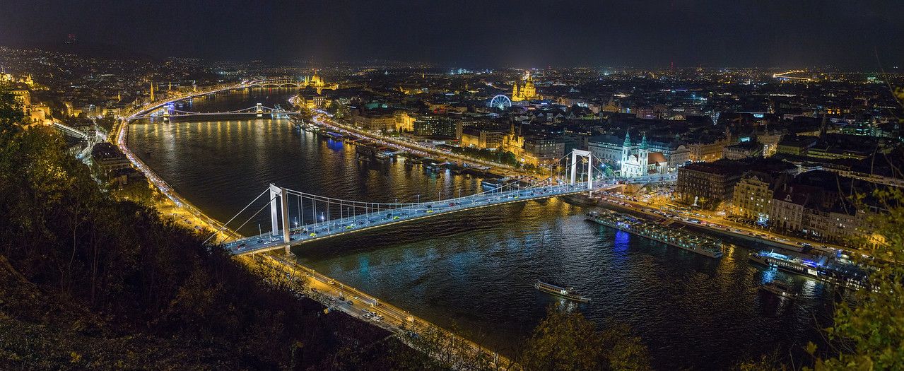 Elisabeth Bridge from the Citadel