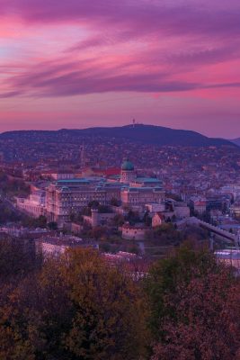 Buda Castle from Citadel with autumn colors